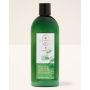 Шампунь для волосся Eucalyptus від Bath & Body Works 473 мл