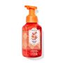 Парфумоване мило-пінка Santorini Coast Foaming Hand Soap