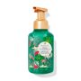 Парфумоване мило-пінка Fresh Watermelon Foaming Hand Soap