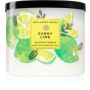 Ароматизована свічка Sunny Lime від Bath & Body Works