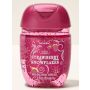 Антисептик для рук Strawberry Snowflakes PocketBac Hand Sanitizer